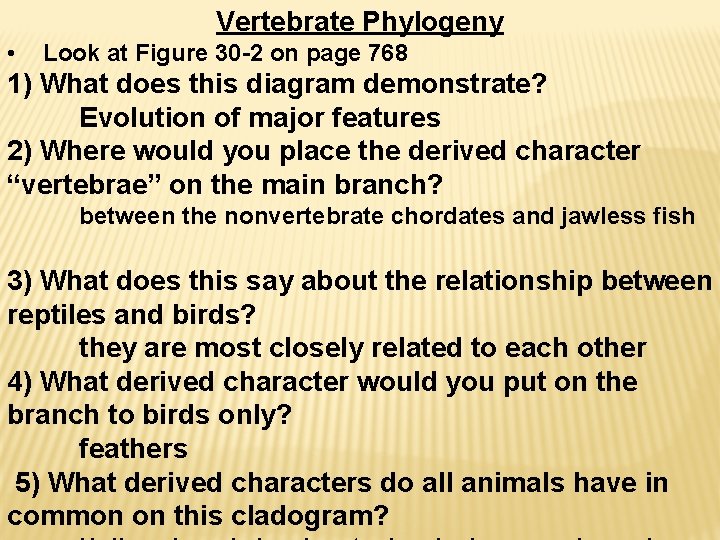 Vertebrate Phylogeny • Look at Figure 30 -2 on page 768 1) What does