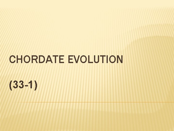 CHORDATE EVOLUTION (33 -1) 