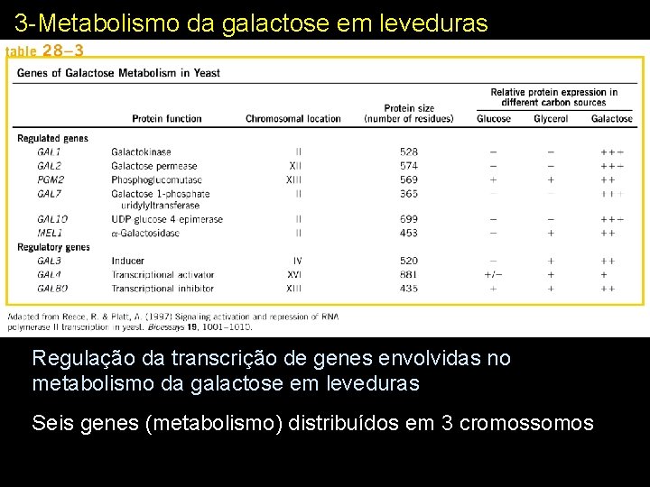 3 -Metabolismo da galactose em leveduras Regulação da transcrição de genes envolvidas no metabolismo