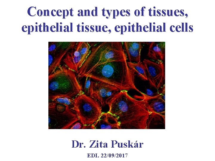 Concept and types of tissues, epithelial tissue, epithelial cells Dr. Zita Puskár EDI. 22/09/2017