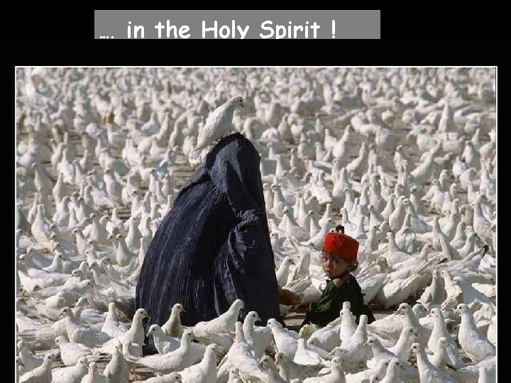 …. in the Holy Spirit ! 