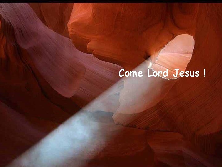 Come Lord Jesus ! 