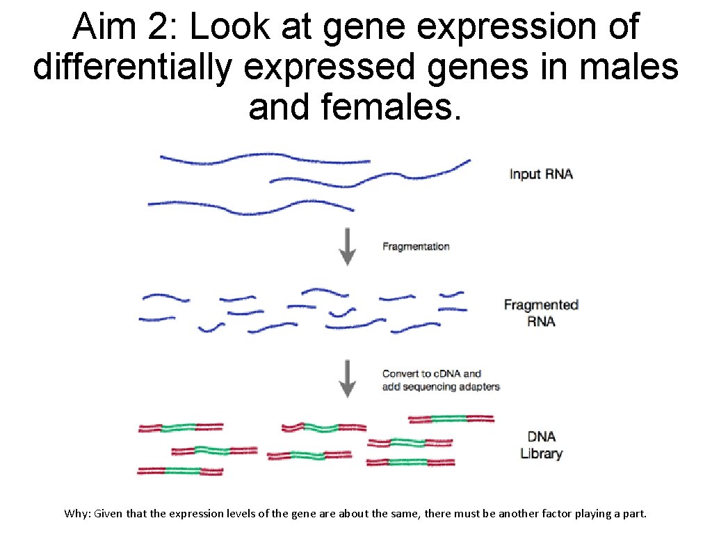 Aim 2: Look at gene expression of differentially expressed genes in males and females.