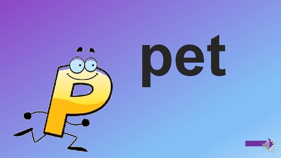 pet 