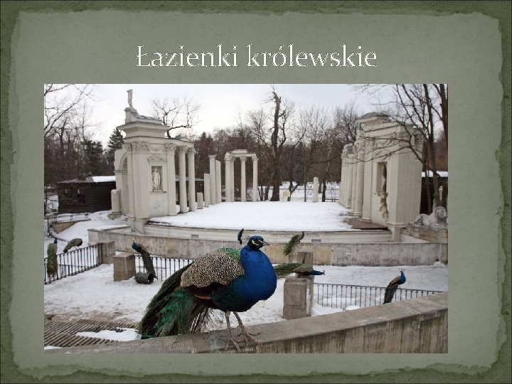 Łazienki królewskie 