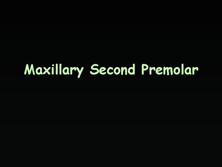 Maxillary Second Premolar 
