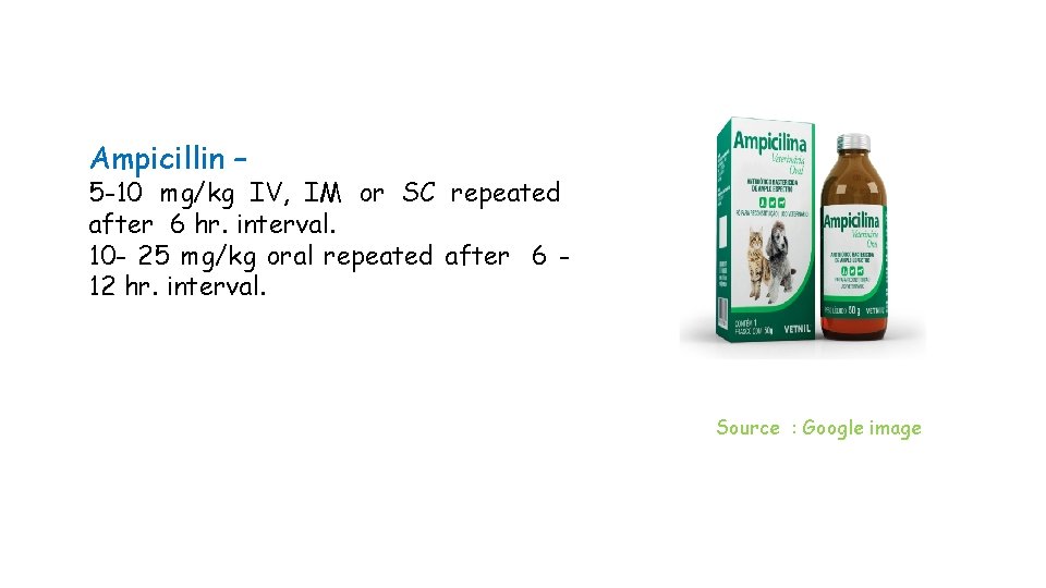 Ampicillin – 5 -10 mg/kg IV, IM or SC repeated after 6 hr. interval.