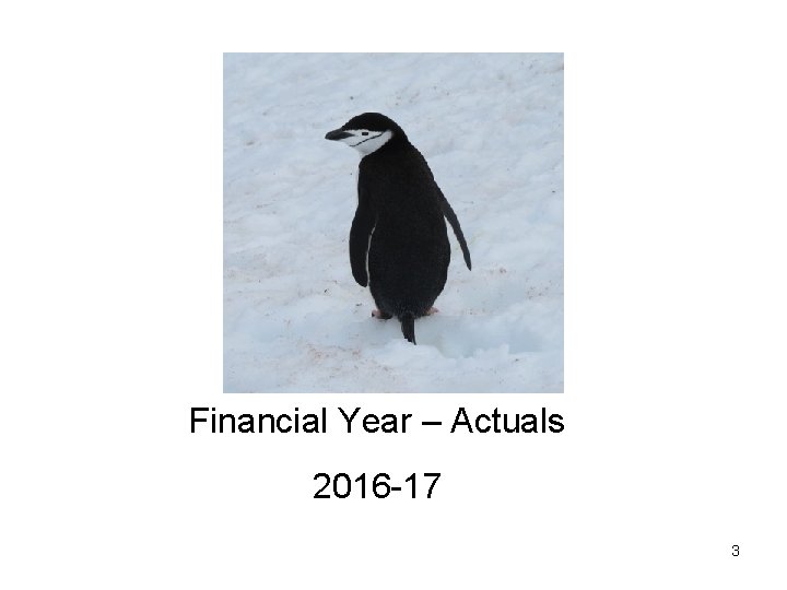 Financial Year – Actuals 2016 -17 3 