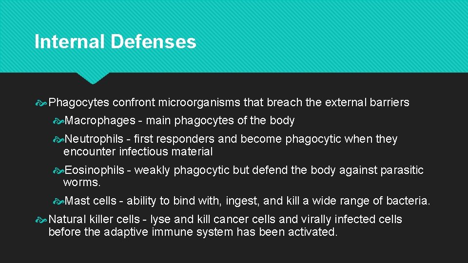 Internal Defenses Phagocytes confront microorganisms that breach the external barriers Macrophages - main phagocytes