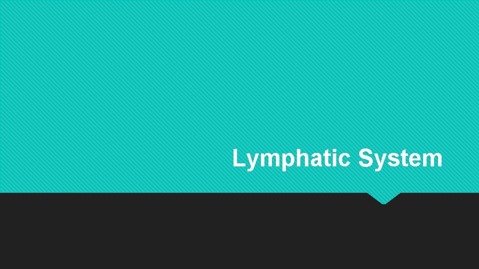 Lymphatic System 