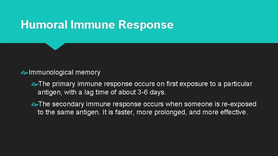 Humoral Immune Response Immunological memory The primary immune response occurs on first exposure to