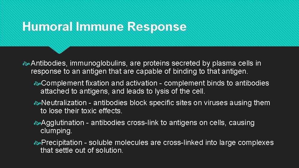 Humoral Immune Response Antibodies, immunoglobulins, are proteins secreted by plasma cells in response to