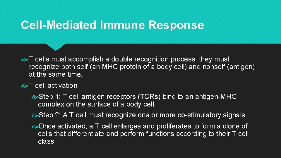 Cell-Mediated Immune Response T cells must accomplish a double recognition process: they must recognize