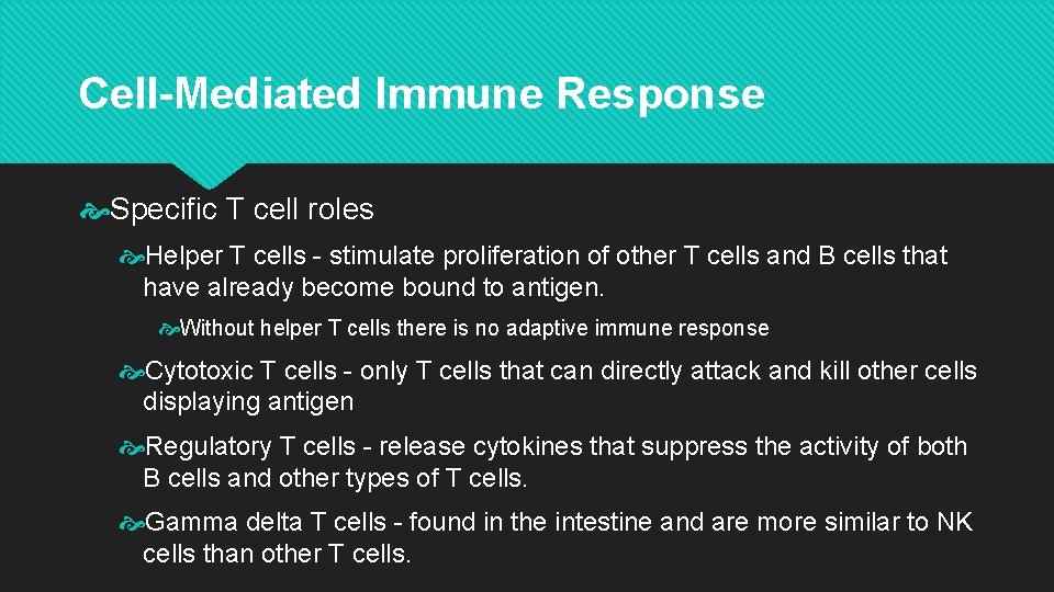 Cell-Mediated Immune Response Specific T cell roles Helper T cells - stimulate proliferation of