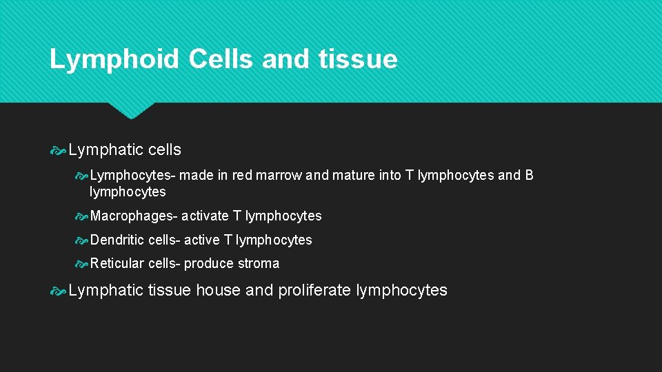 Lymphoid Cells and tissue Lymphatic cells Lymphocytes- made in red marrow and mature into