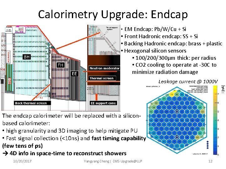 Calorimetry Upgrade: Endcap • EM Endcap: Pb/W/Cu + Si • Front Hadronic endcap: SS