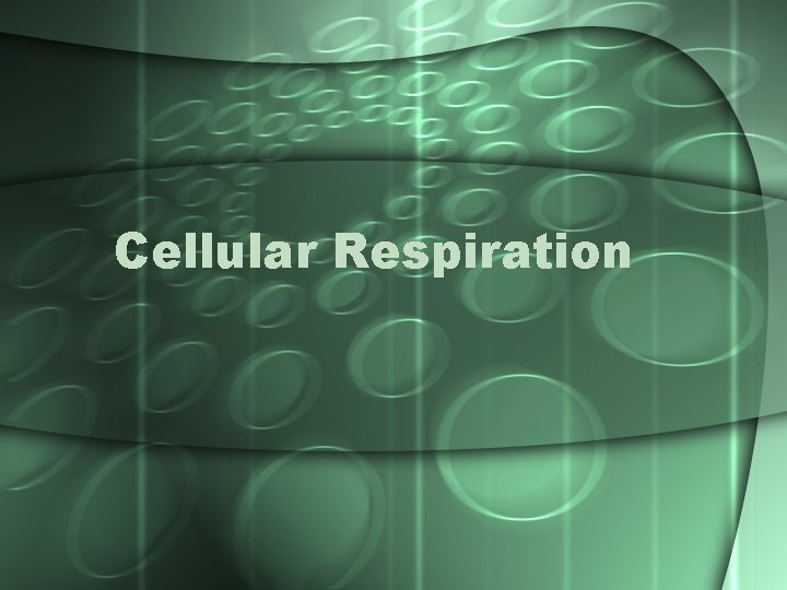 Cellular Respiration 