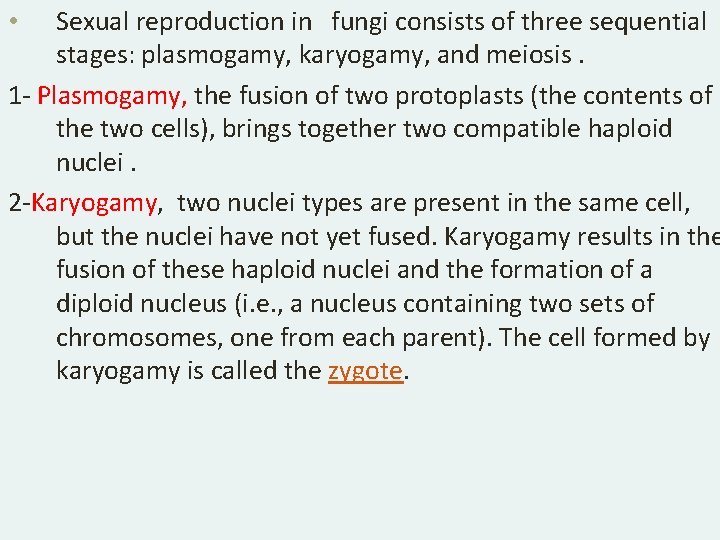 Sexual reproduction in fungi consists of three sequential stages: plasmogamy, karyogamy, and meiosis. 1