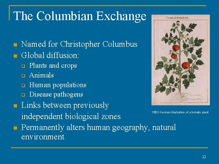 The Columbian Exchange n n Named for Christopher Columbus Global diffusion: q q n