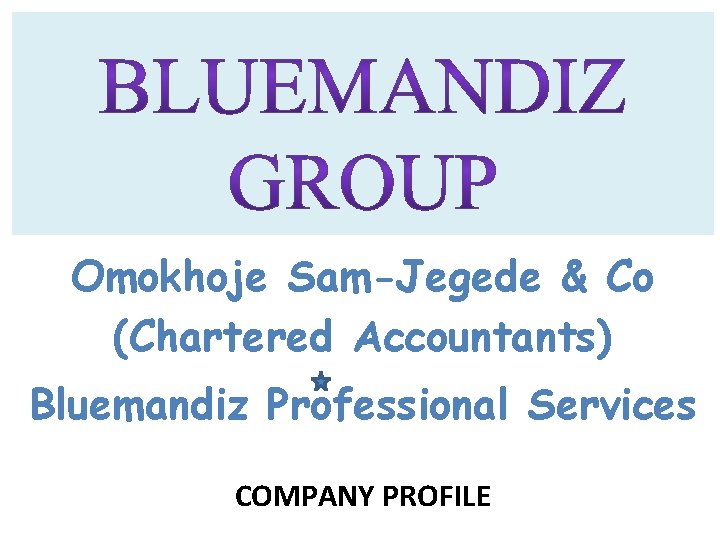 Omokhoje Sam-Jegede & Co (Chartered Accountants) Bluemandiz Professional Services COMPANY PROFILE 