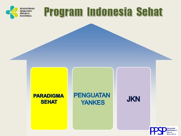Program Indonesia Sehat 