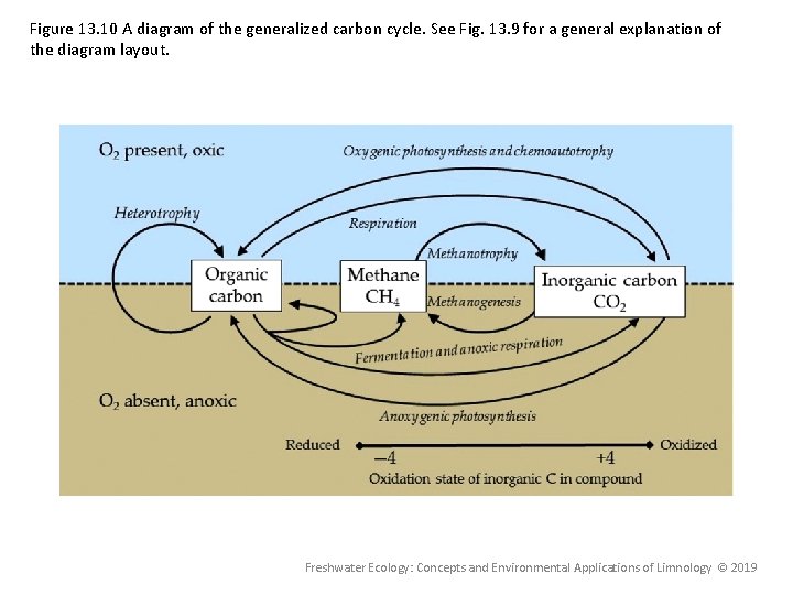 Figure 13. 10 A diagram of the generalized carbon cycle. See Fig. 13. 9