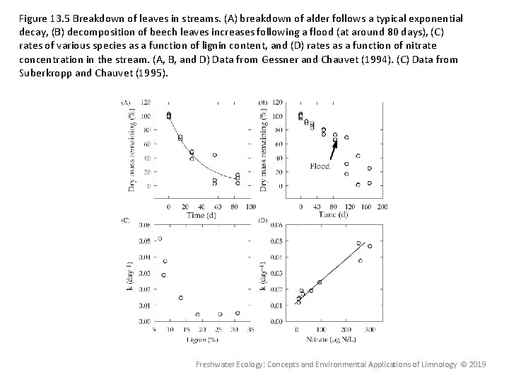 Figure 13. 5 Breakdown of leaves in streams. (A) breakdown of alder follows a