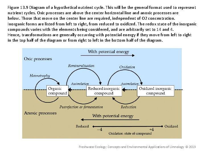 Figure 13. 9 Diagram of a hypothetical nutrient cycle. This will be the general