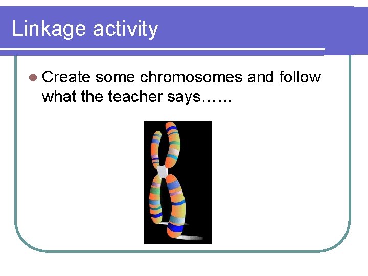 Linkage activity l Create some chromosomes and follow what the teacher says…… 