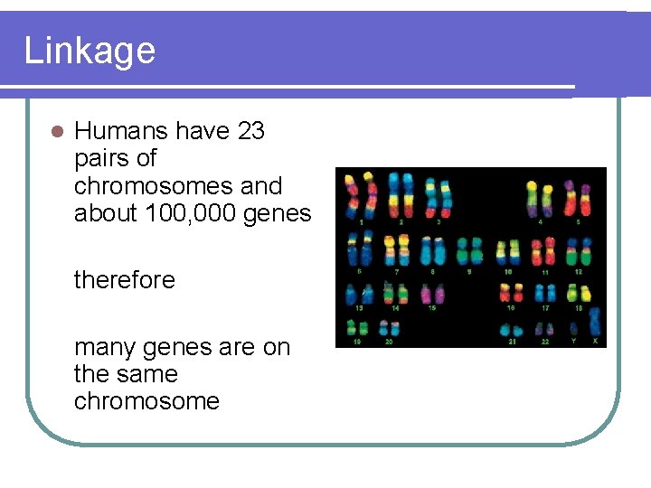 Linkage l Humans have 23 pairs of chromosomes and about 100, 000 genes therefore