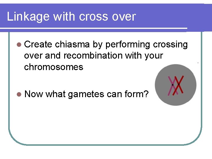 Linkage with cross over l Create chiasma by performing crossing over and recombination with