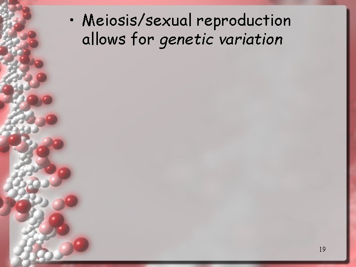  • Meiosis/sexual reproduction allows for genetic variation 19 