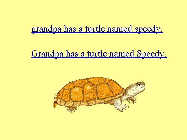grandpa has a turtle named speedy. Grandpa has a turtle named Speedy. 