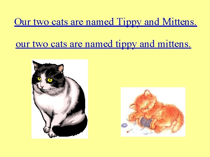Our two cats are named Tippy and Mittens. our two cats are named tippy