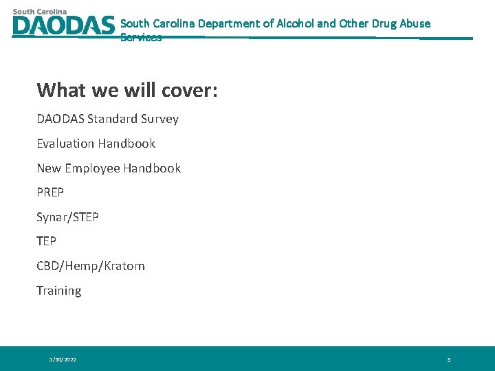 South Carolina Department of Alcohol and Other Drug Abuse Services What we will cover: South Carolina Department of Alcohol and Other Drug Abuse Services What we will cover: