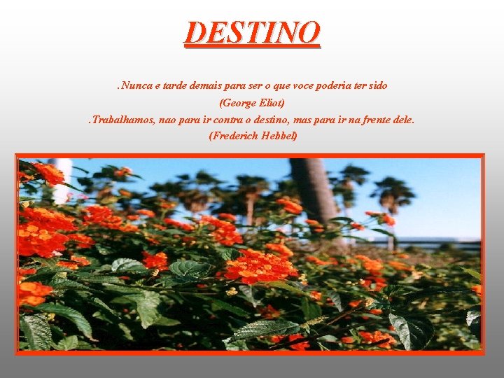 DESTINO. Nunca e tarde demais para ser o que voce poderia ter sido (George