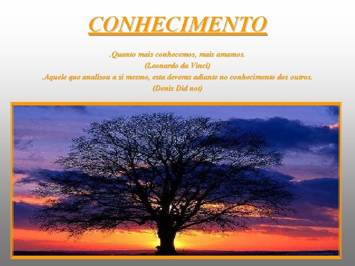 CONHECIMENTO. Quanto mais conhecemos, mais amamos. (Leonardo da Vinci). Aquele que analisou a si