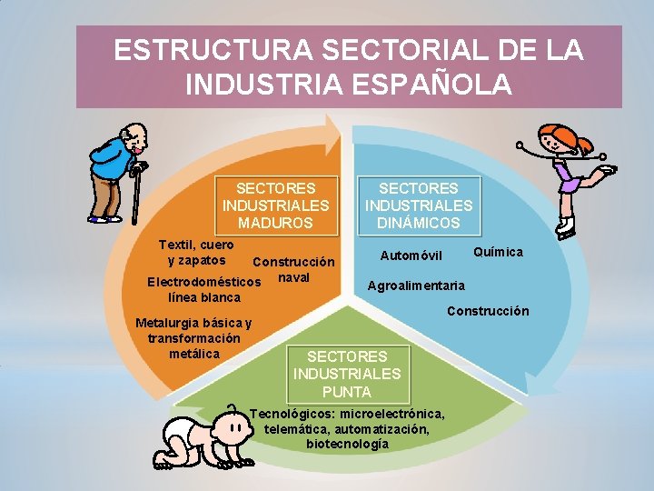 ESTRUCTURA SECTORIAL DE LA INDUSTRIA ESPAÑOLA SECTORES INDUSTRIALES MADUROS Textil, cuero y zapatos Construcción