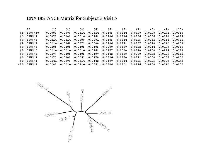 Linear Algebra Course Activity 2 Finding Similarities and