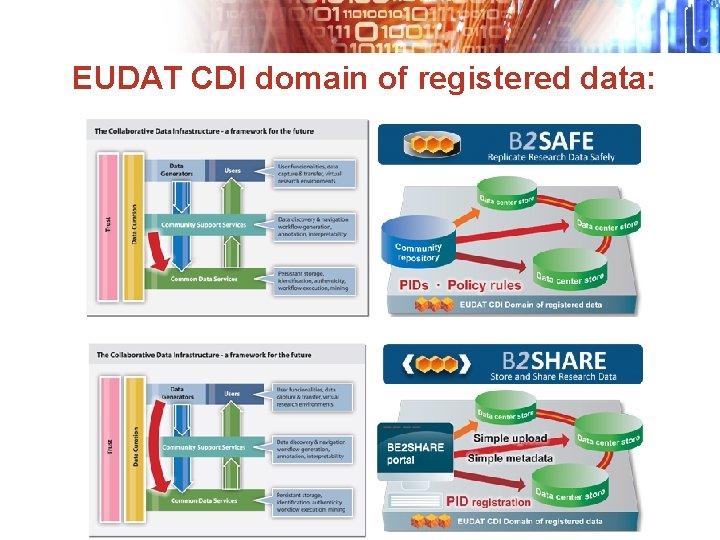EUDAT CDI domain of registered data: 