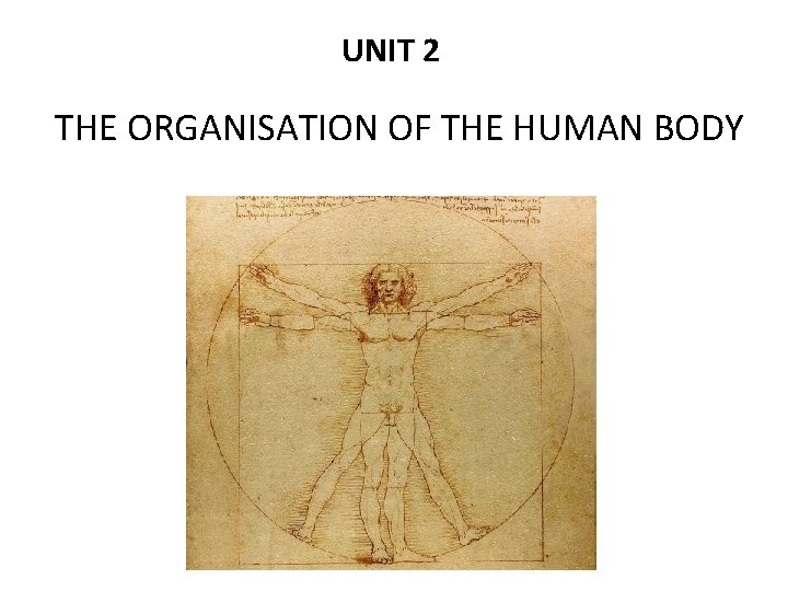 UNIT 2 THE ORGANISATION OF THE HUMAN BODY 