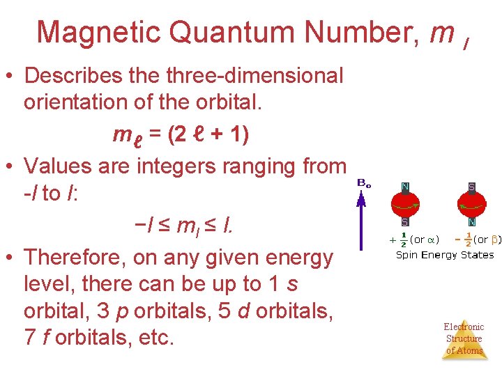 Magnetic Quantum Number, m l • Describes the three-dimensional orientation of the orbital. mℓ