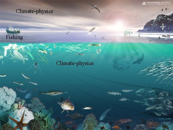 Climate-physics Fishing Climate-physics 