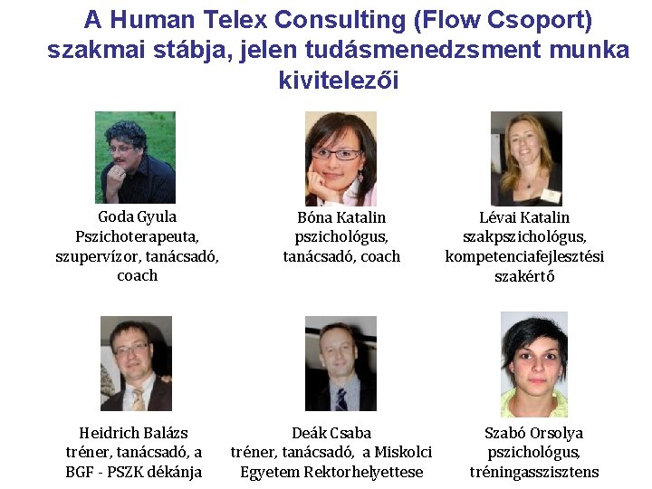 A Human Telex Consulting (Flow Csoport) szakmai stábja, jelen tudásmenedzsment munka kivitelezői Goda Gyula