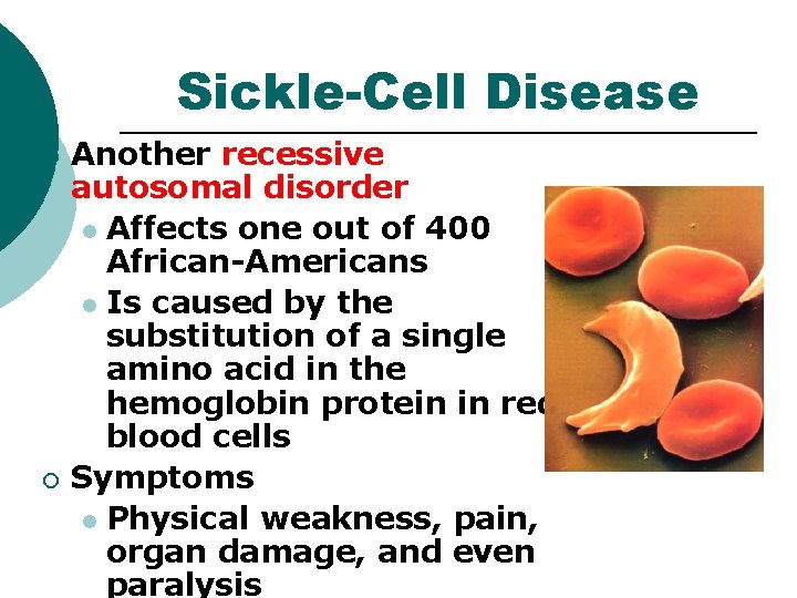 Sickle-Cell Disease ¡ ¡ Another recessive autosomal disorder l Affects one out of 400 Sickle-Cell Disease ¡ ¡ Another recessive autosomal disorder l Affects one out of 400