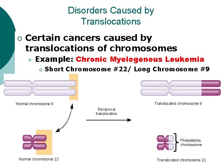 Disorders Caused by Translocations ¡ Certain cancers caused by translocations of chromosomes l Example: Disorders Caused by Translocations ¡ Certain cancers caused by translocations of chromosomes l Example: