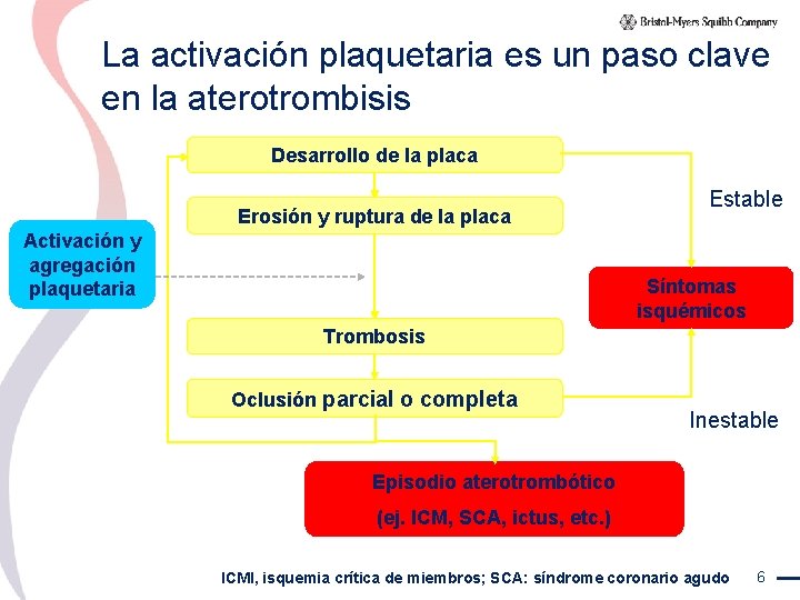 La activación plaquetaria es un paso clave en la aterotrombisis Desarrollo de la placa