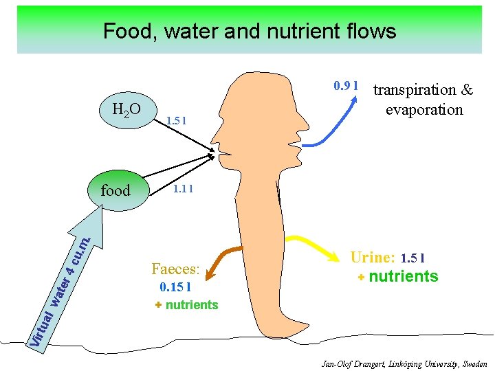 Food, water and nutrient flows 0. 9 l H 2 O 1. 1 l