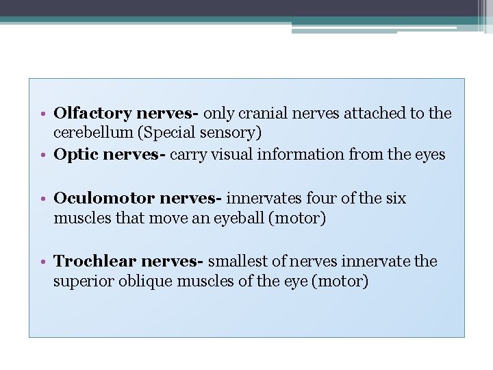  • Olfactory nerves- only cranial nerves attached to the cerebellum (Special sensory) •