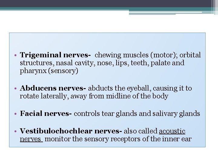  • Trigeminal nerves- chewing muscles (motor); orbital structures, nasal cavity, nose, lips, teeth,